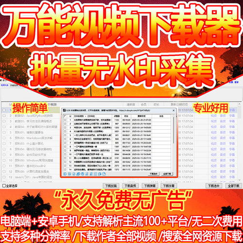 抖音快手小红书短视频批量下载软件无水印一键解析采集素材保存