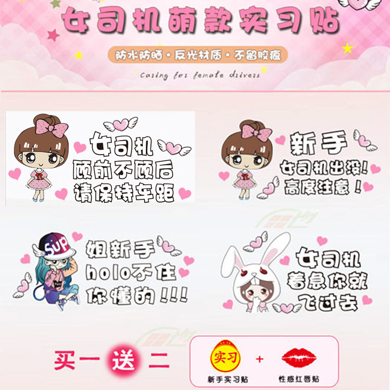 新手上路女司机车贴画实习标志