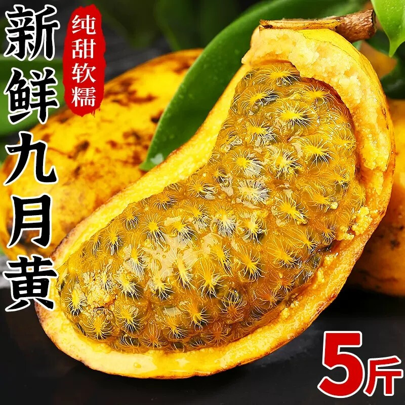 野生新鲜九月黄5斤应季水果拿麻藤包牛卵坨八月瓜木通果顺丰包邮