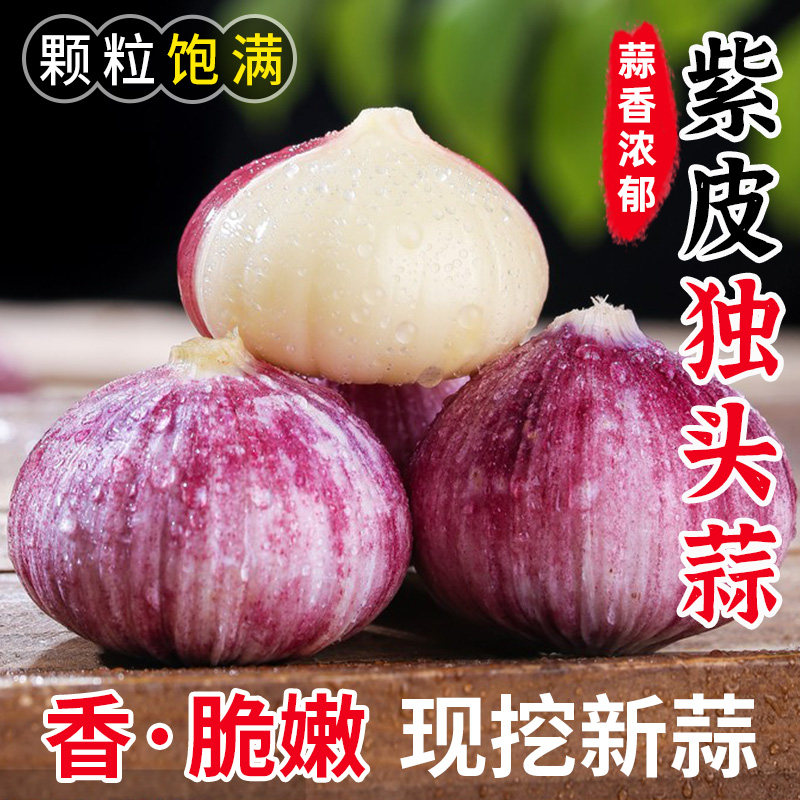 正宗紫皮独头蒜5斤新鲜大蒜农家蔬菜云南独蒜红皮干蒜大蒜头包邮
