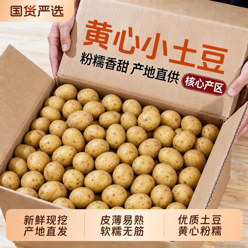 恩施小土豆3斤装特价【日限1单】
