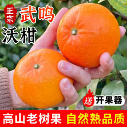 正宗广西武鸣沃柑10新鲜斤当季水果砂糖蜜橘柑橘桔子礼盒整箱包邮