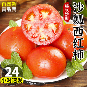 云南露天沙瓤西红柿9斤新鲜水果番茄当季生吃蔬菜普罗旺斯自然熟