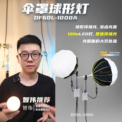 智伟推荐DF60L-1000A便携式球形灯伞罩球灯100W柔光环境灯双色温