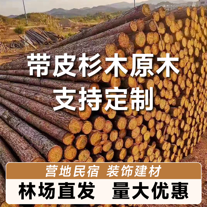 带皮杉木c原木桩造景树杆露营民宿实木造型装饰树木支撑杆围栏工