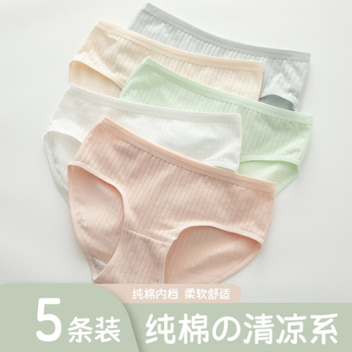 5条装纯棉档内裤舒适柔软