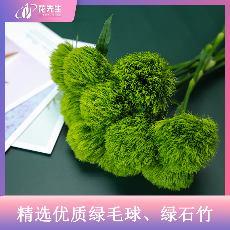 云南绿毛球鲜花基地绿植玫瑰百合花向日葵水养云南直发同城速递