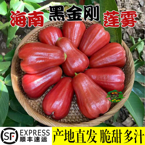 金叹海南热带水果黑金刚莲雾新鲜