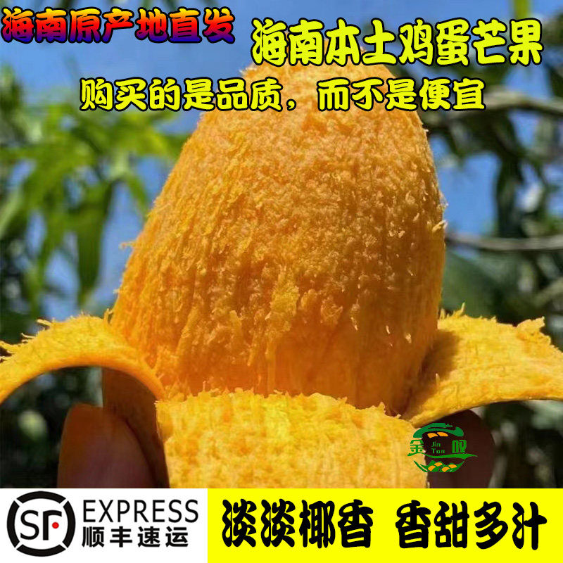 海南本土芒果昌江鸡蛋芒椰香芒果水果新鲜绿皮鸡蛋芒果整箱正当季
