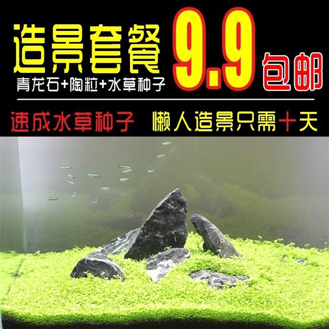 鱼缸装饰造景套餐水草缸大号牛毛草大型水族箱观赏鱼对叶草种水草