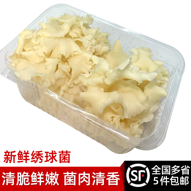 新鲜1盒150g煲汤火锅酒店绣球菌图片