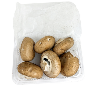 新鲜牛排菇约500g 新鲜菌菇  波多黎各菌 5件包邮