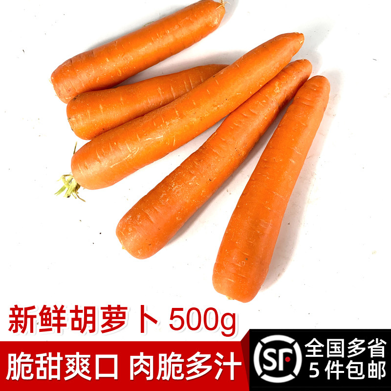 新鲜大胡萝卜500g 时令蔬菜红萝卜生吃甜脆炒菜配料食材