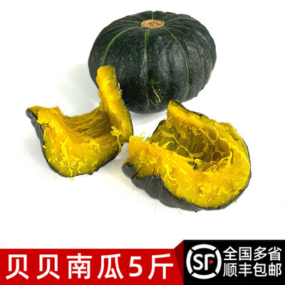 贝贝南瓜板栗味粉糯香甜蔬菜