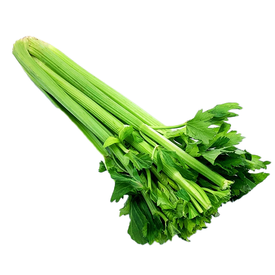 新鲜西芹2斤 绿色蔬菜炒菜凉拌食材大芹菜 洋芹菜 多省5件包邮