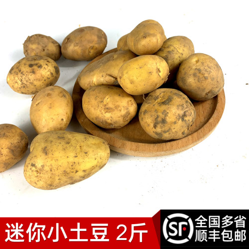 绿食者 迷你小土豆2斤 新鲜蔬菜 农家黄心土豆马铃薯小洋山芋包邮