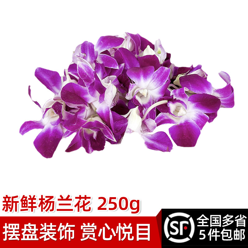 新鲜洋兰花250g杨兰花马兰花火锅酒店饭店西餐点缀摆盘装饰鲜花朵