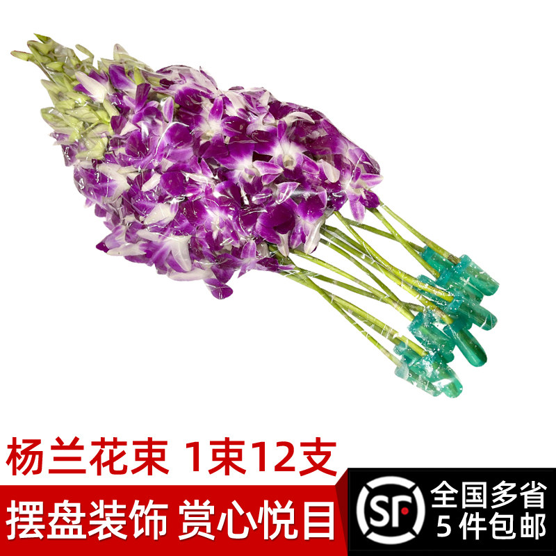 新鲜杨兰花束1束12支 酒店西餐摆盘装饰材料 洋兰花朵石斛兰