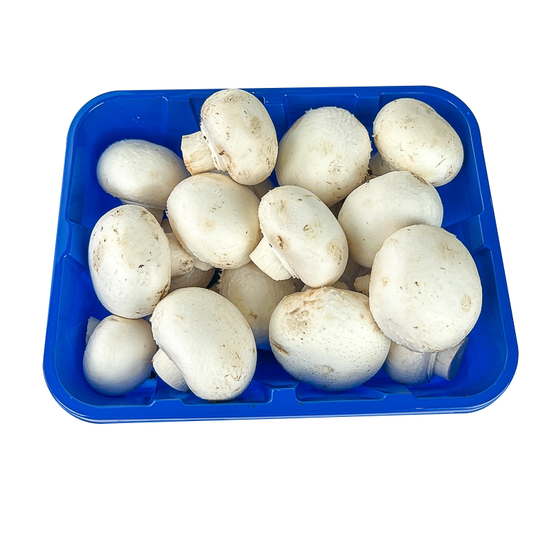 新鲜蘑菇约500g 食用菌口蘑鲜白蘑菇 口菇 双孢菇 5件包邮