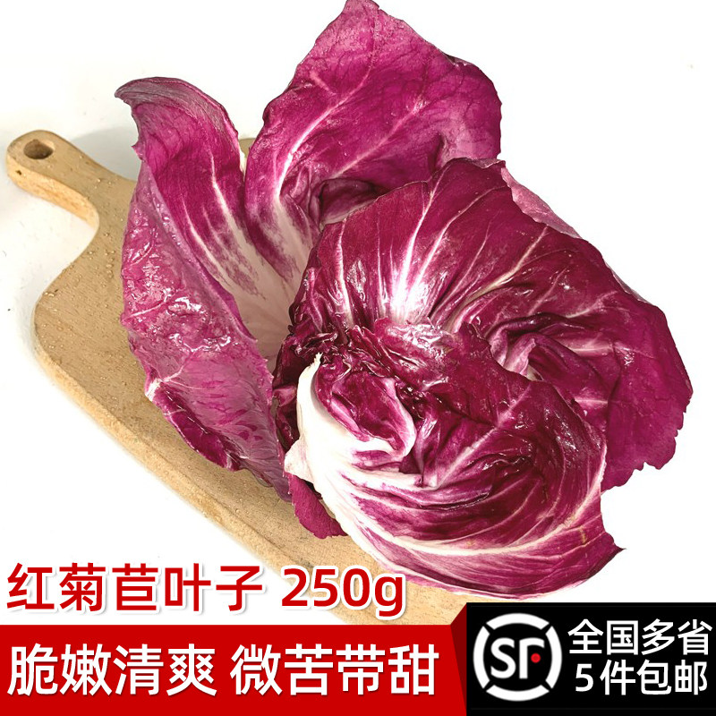 新鲜红菊苣叶子250g 落地红球生菜新鲜蔬菜沙拉食材西餐配菜