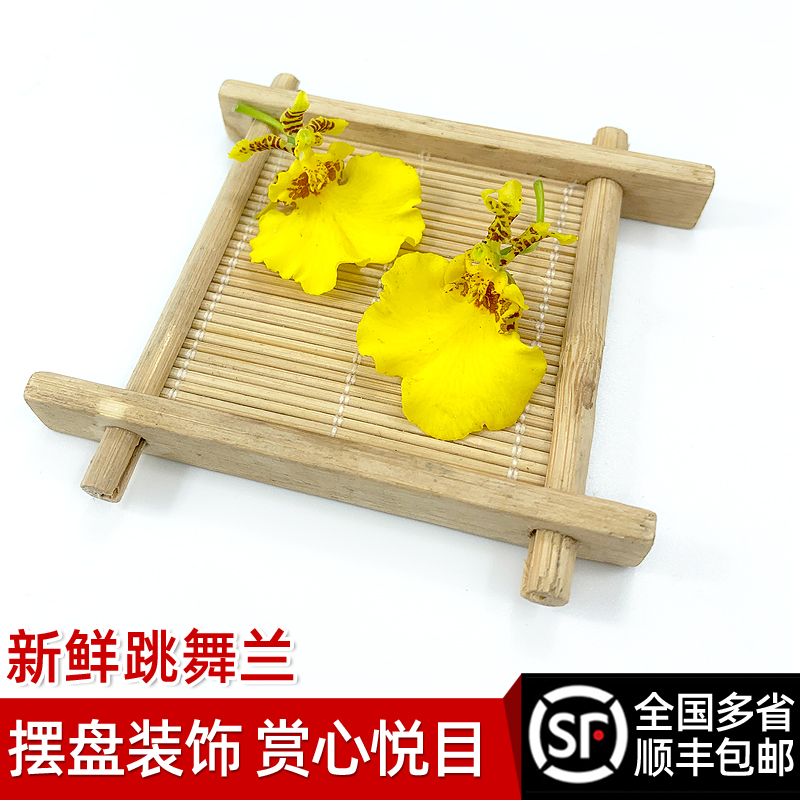 新鲜跳舞兰绿食者装饰摆盘花草
