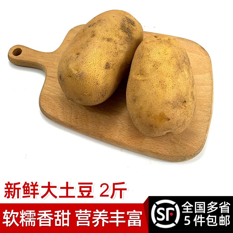 新鲜大土豆2斤左右 洋芋薄皮粉面黄心农家马铃薯 辅食食材