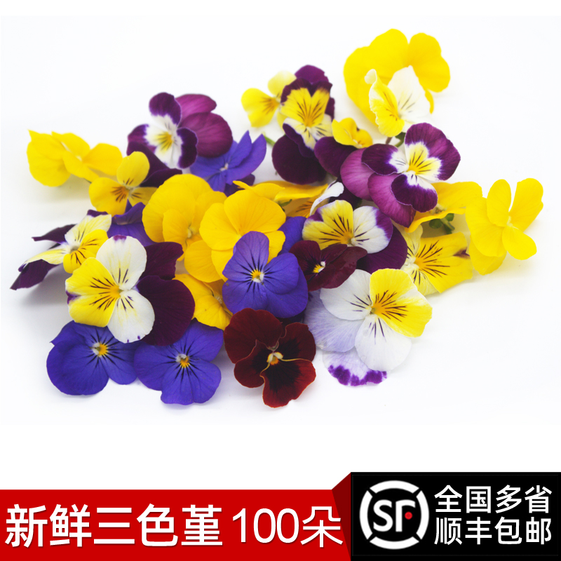 新鲜100朵摆盘装饰花草三色堇