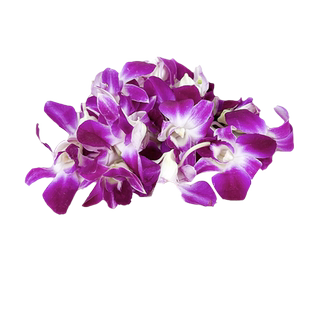 新鲜洋兰花250g杨兰花马兰花火锅酒店饭店西餐点缀摆盘装饰鲜花朵