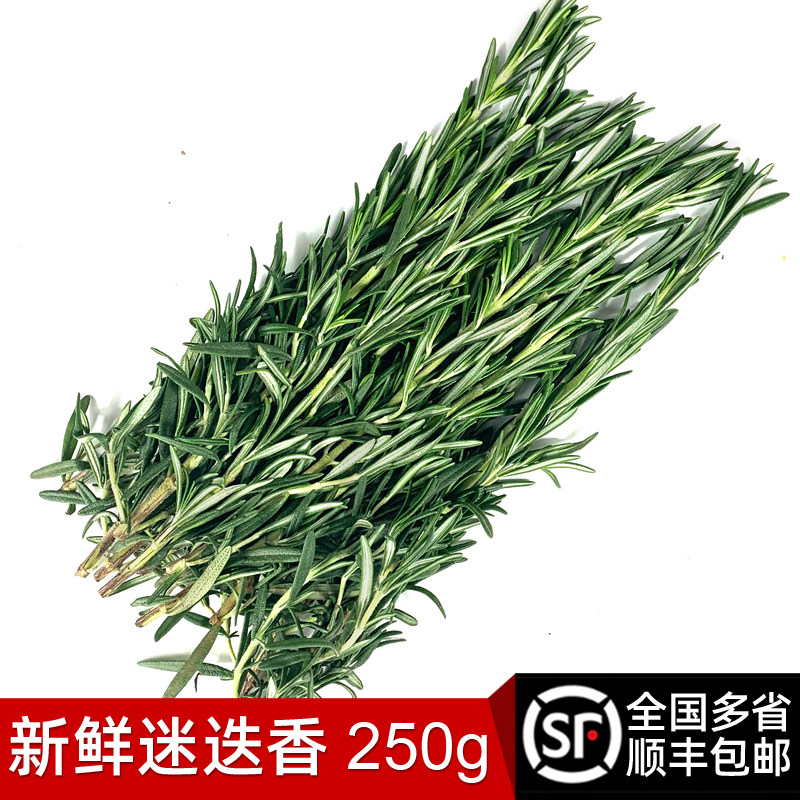 新鲜迷迭香250g 迷失迷迪香烧烤烘焙调料西餐煎牛排食用香料配料