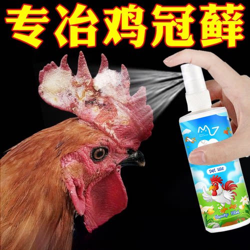 鸡冠藓一喷净消针对家鸡头藓白皮黄藓风藓长痘发紫发白肿大禽用
