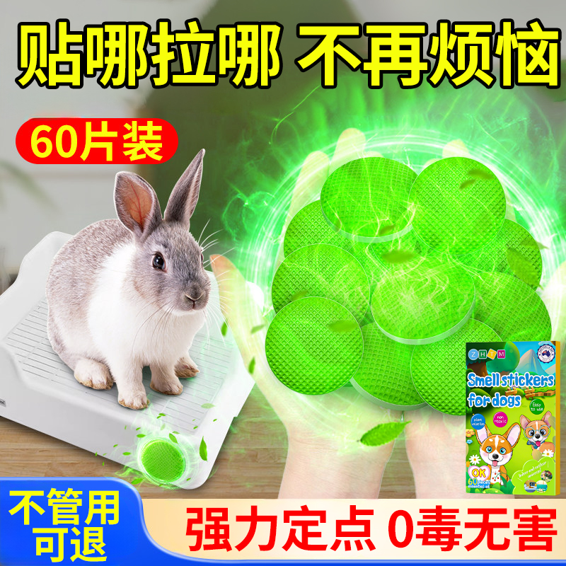 垂耳兔专用定点排便诱导剂训练引导幼兔上厕所神器兔子防乱拉用品