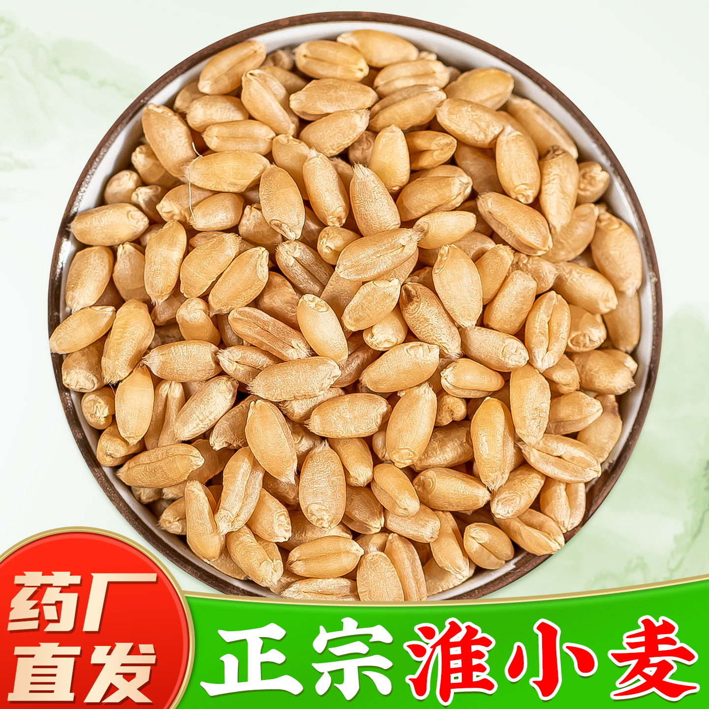 淮小麦中药材500克品质严选图片