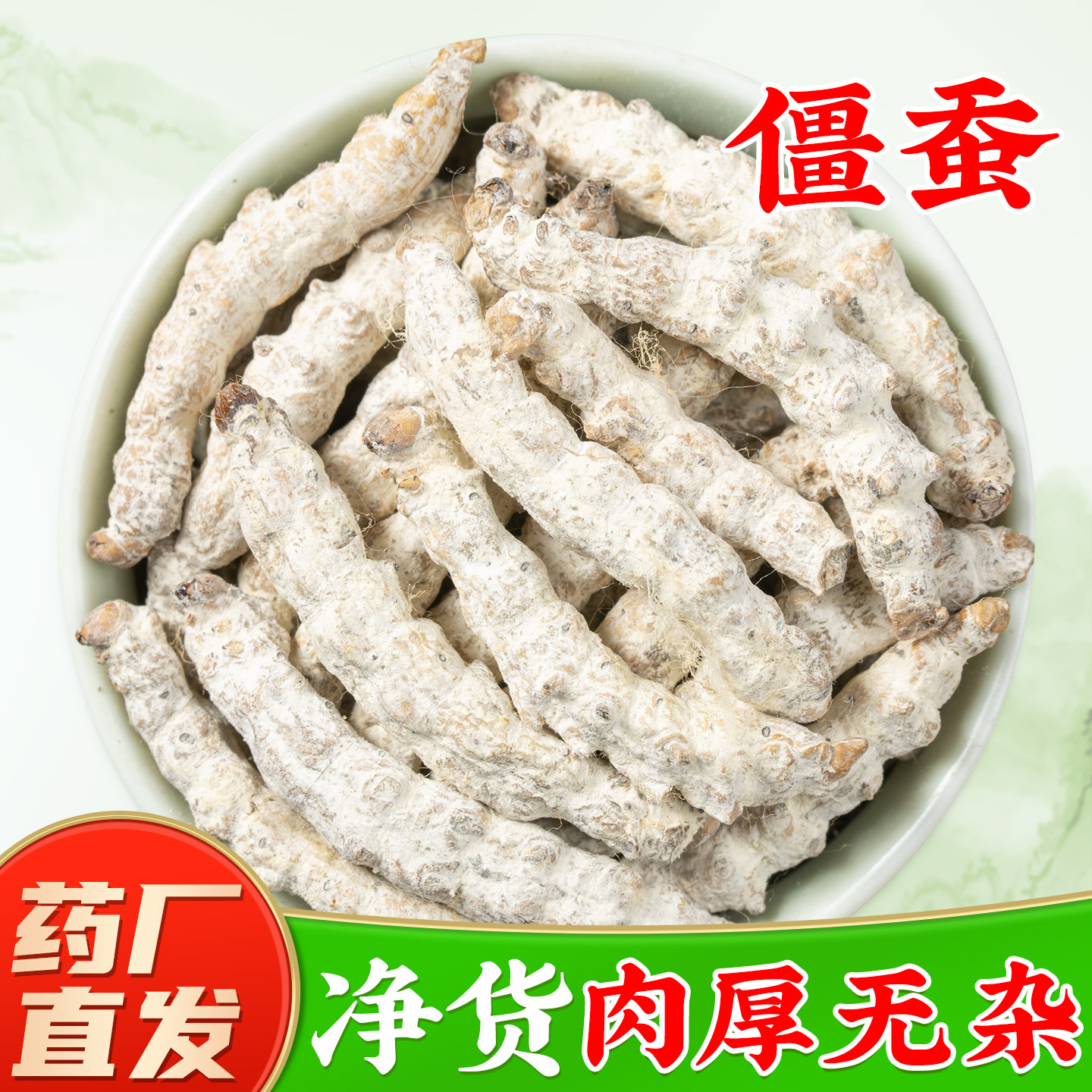 【正宗白僵蚕中药材】药厂直销图片