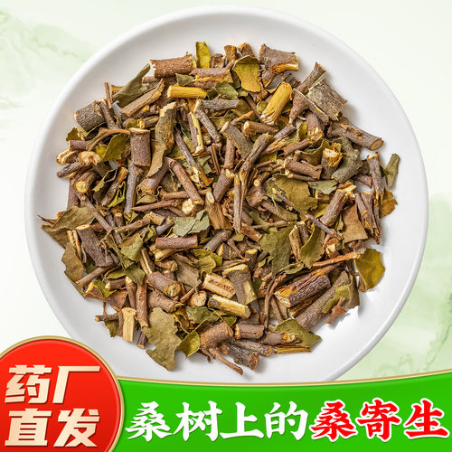 【野生桑寄生中药材】药厂直销