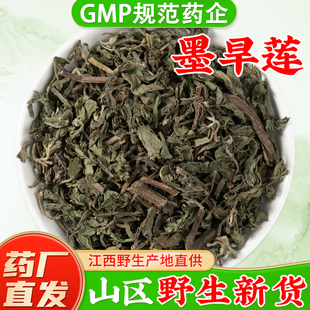 野生墨旱莲中药材官方旗舰店正品 江西旱莲草洗头泡酒泡水喝
