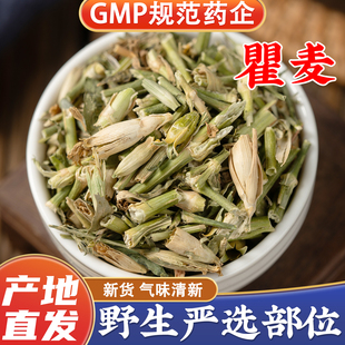 原色瞿麦中药材野生正品新货官方旗舰店 曲麦茶 石竹干瞿麦中药材