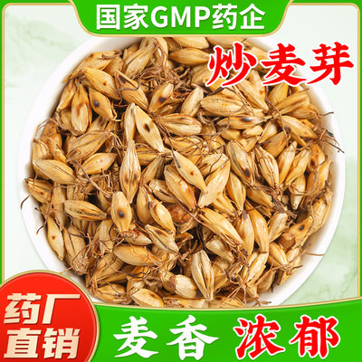 麦芽行气消食健脾开胃回乳消胀