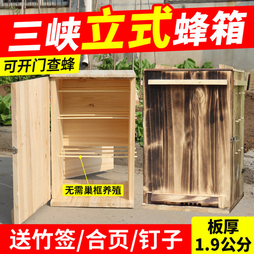 老式养蜂箱！立式土养蜜蜂
