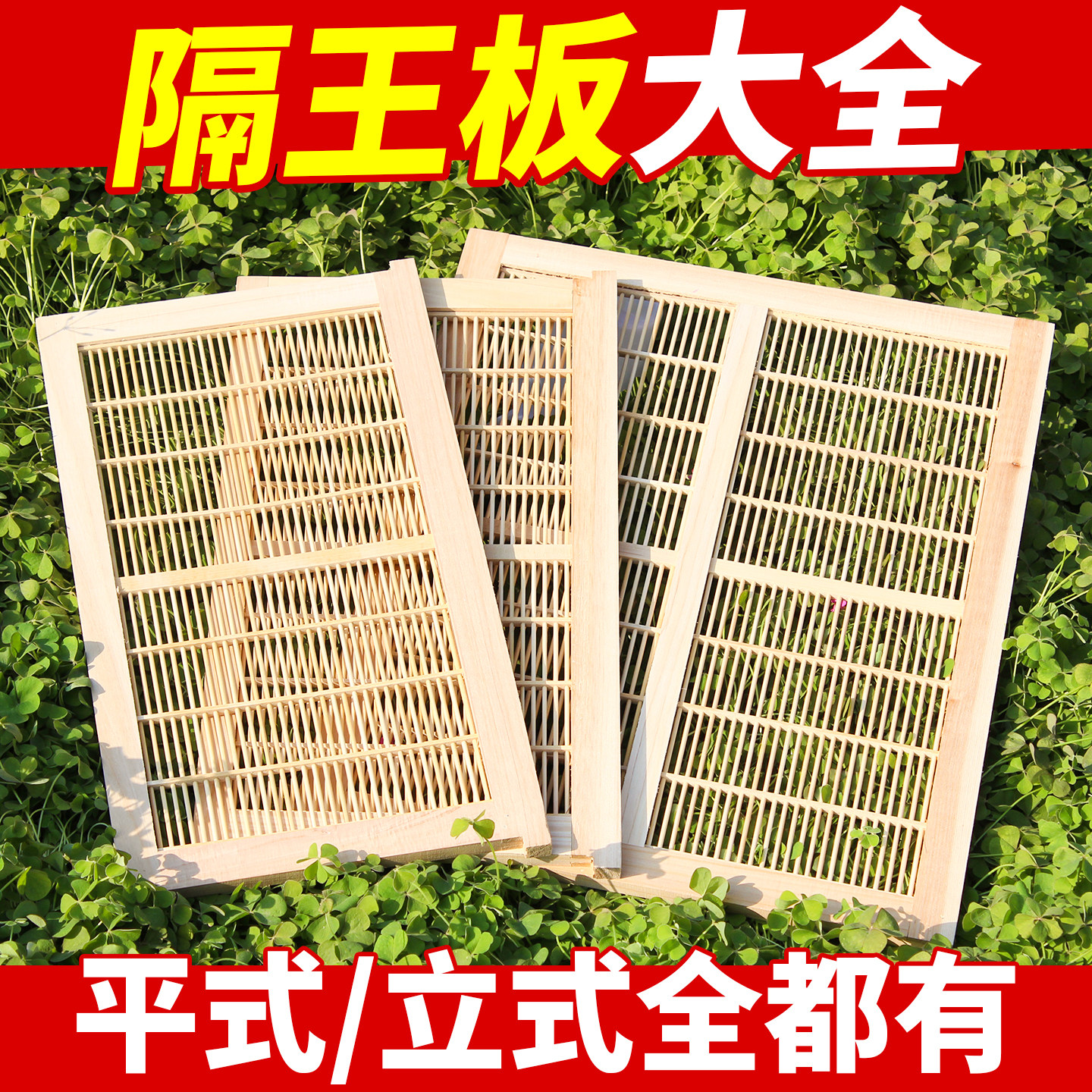 隔王板中蜂意蜂平面立式平式栅木质蜜蜂塑料双王蜂箱继箱专用十框