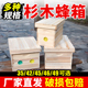 中蜂全套杉木烘干35 49蜜蜂老式 中蜂诱蜂 蜂大哥蜂箱广式