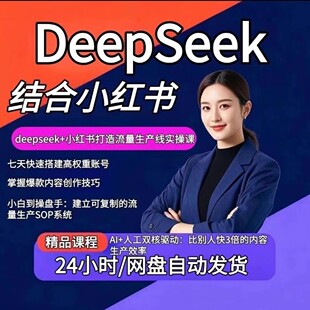 Deepseek小红书自媒体视频课程轻创业文生图ai爆款文案创作数字人