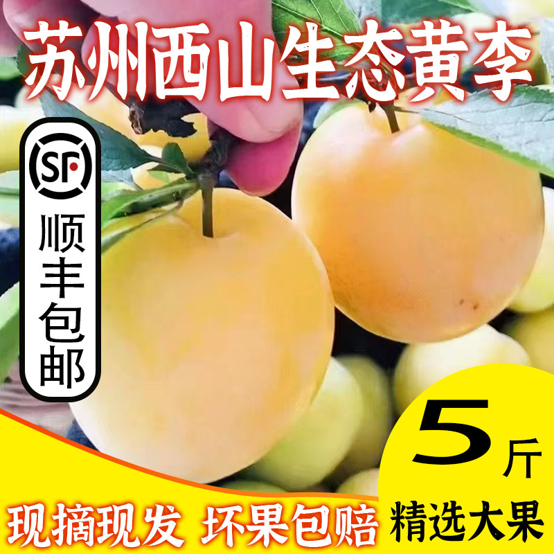 苏州西山太湖生态蜂糖李桃花李玉皇李黄李子新鲜水果孕妇水果包邮