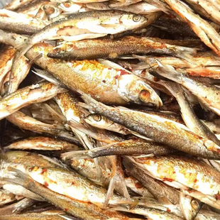 河南农家炕干白鱼条南湾湖白鱼条农家自制特产干货味美下饭500g