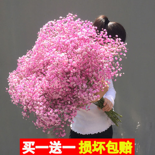 大束满天星干花花束真花鲜花论斤卖家用客厅摆件装饰插花圣诞礼物