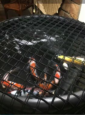 鱼缸防跳网 乌龟防逃网 金鱼缸防跳网罩尼龙防逃网订做鱼缸网罩80