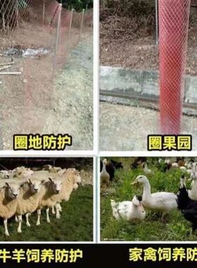 防锈菱形钢板网养殖防护网围山圈地果园防盗网鱼塘护菱形网格铁网