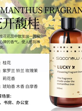 空气清新剂卫生间清香卧室除味神器持久留香除臭去味无火香薰香氛