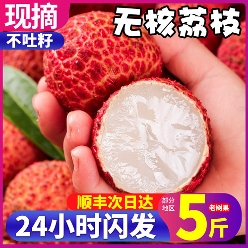 顺丰无核荔枝5斤一口全是肉无籽