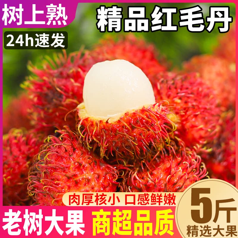 新鲜海南5斤顺丰包邮热带水果