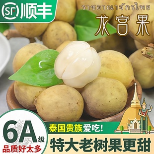 顺丰6A泰国龙宫果新鲜水果贵族专享老树特大果王罕见龙眼进口包邮